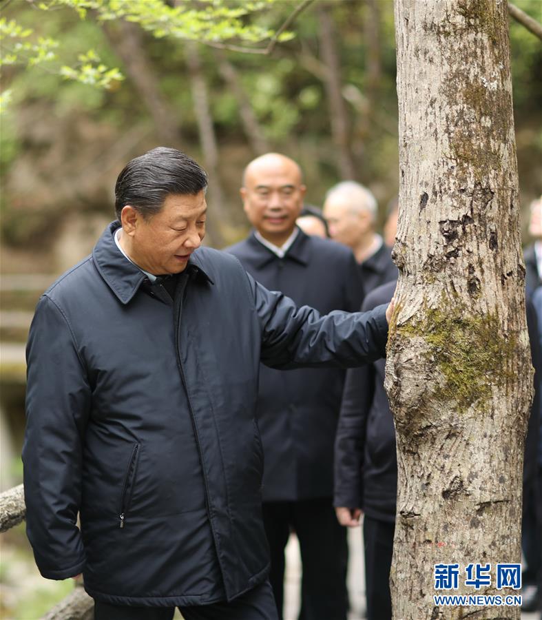 习近平在陕西考察    国家品牌网