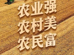 党中央引领推进新时代农业农村现代化事业述评