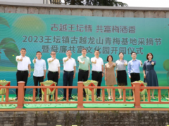 古越龙山牵手绍兴柯桥王坛镇 青梅酒香品舜廉共富