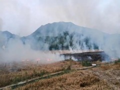 秸秆焚烧引发东北空气重污染 焚烧秸秆都有哪些危害