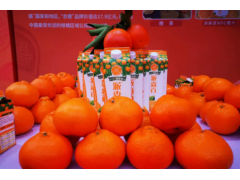 2023重庆柑橘进山东专场推介活动在济南举行