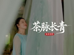 劲牌养生一号用户胡冰：茶脉长青，养在平常