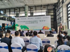 区域餐饮品牌走向全国,这里有一套完整的方法论和实践指南